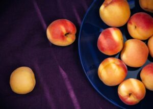 Jak zasadzić pestkę moreli