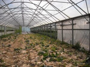 Skuteczność zgrzewania folii na tunel