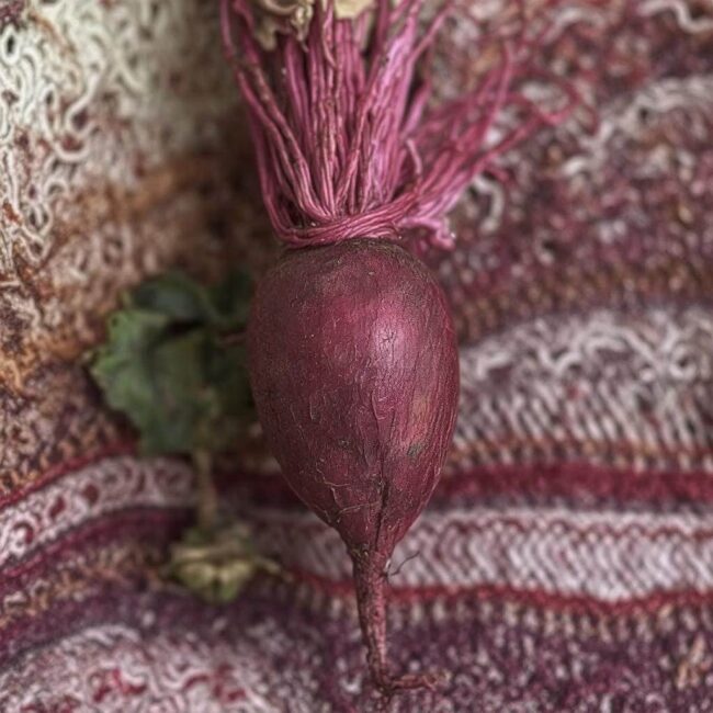 Kiszone buraki na święta